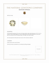 2.93 Ct. Citrine from Brazil Appraisal