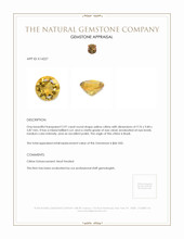 2.97 Ct. Citrine from Brazil Appraisal