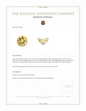 3.12 Ct. Citrine from Brazil Appraisal