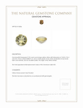 2.96 Ct. Citrine from Brazil Appraisal