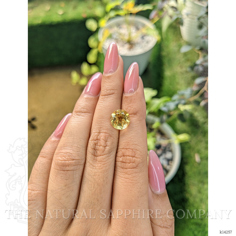 3.02 Ct. Citrine from Brazil