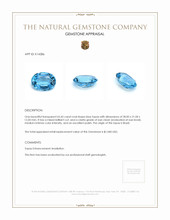 65.43 Ct. Blue Topaz from Brazil Appraisal