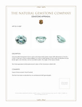 46.45 Ct. Topaz from Brazil Appraisal