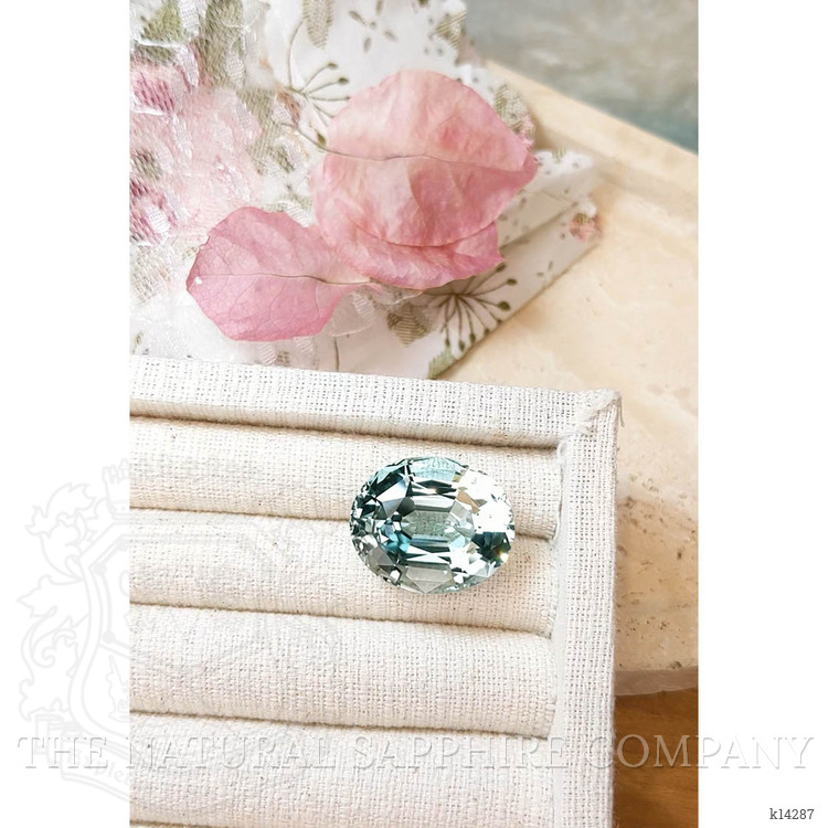 46.45 Ct. Topaz from Brazil