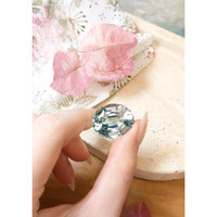 46.45 Ct. Topaz from Brazil Life Style