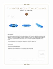 25.17 Ct. Swiss Blue Topaz from Brazil Appraisal