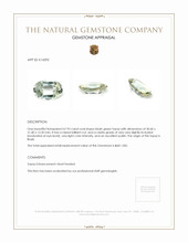 67.93 Ct. Topaz from Brazil Appraisal
