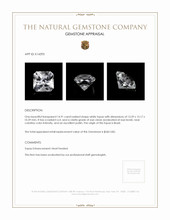 14.91 Ct. Topaz from Brazil Appraisal