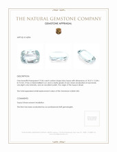 19.06 Ct. Topaz from Brazil Appraisal