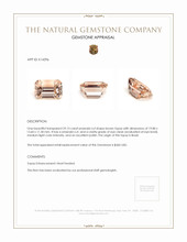 29.13 Ct. Topaz from Brazil Appraisal