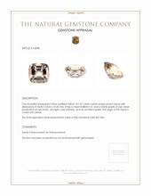 221.47 Ct. Topaz from Ceylon (Sri Lanka) Appraisal