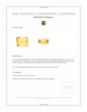 2.67 Ct. Citrine from Brazil Appraisal
