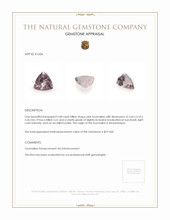 0.48 Ct. Tourmaline from Mozambique Appraisal