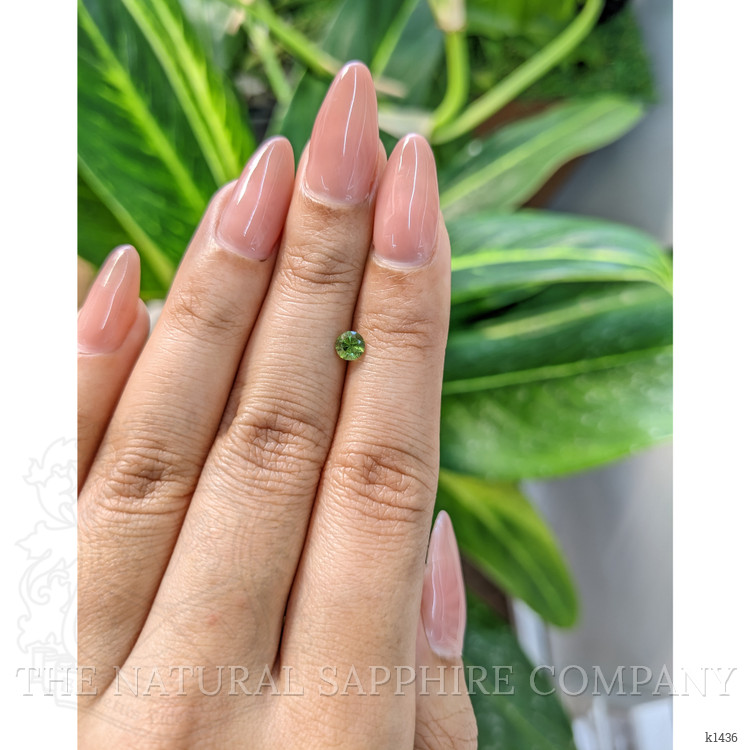 0.30 Ct. Tourmaline from Mozambique