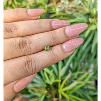 0.30 Ct. Tourmaline from Mozambique Life Style