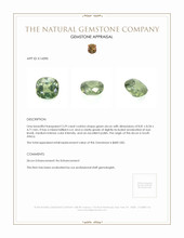 3.29 Ct. Zircon from South Africa Appraisal