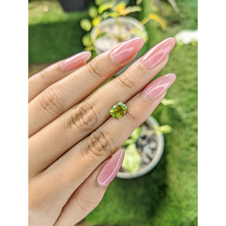 1.67 Ct. Peridot from Pakistan