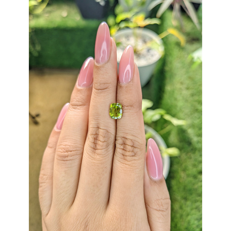 1.67 Ct. Peridot from Pakistan
