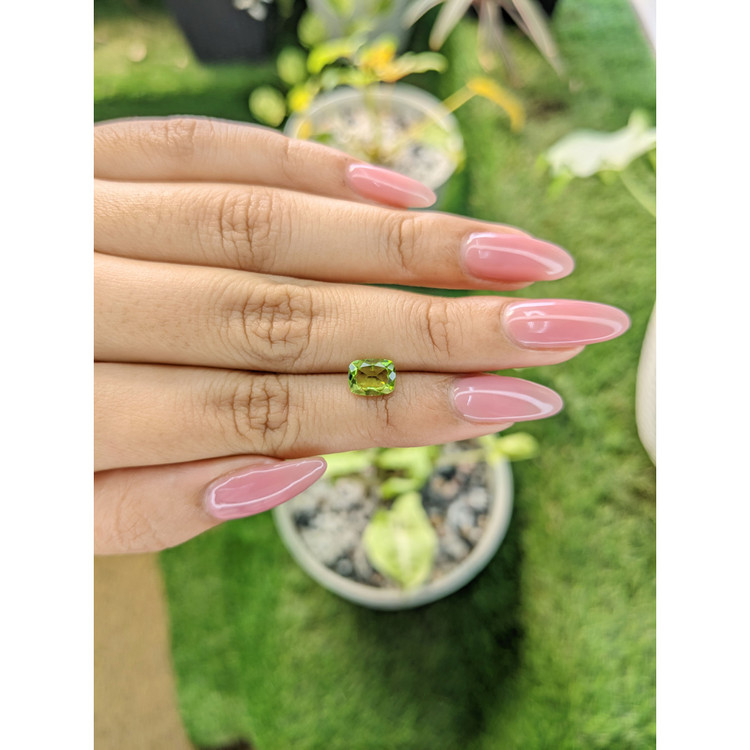 1.35 Ct. Peridot from Pakistan