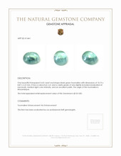 4.42 Ct. Cabochon Tourmaline from Mozambique Appraisal