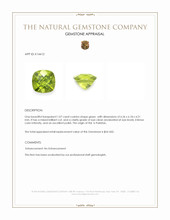 1.07 Ct. Green Peridot from Pakistan Appraisal