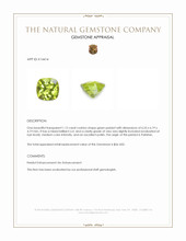 1.12 Ct. Green Peridot from Pakistan Appraisal