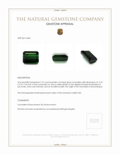 7.27 Ct. Tourmaline from Mozambique Appraisal