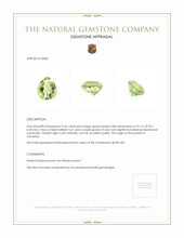 2.66 Ct. Peridot from Tanzania Appraisal