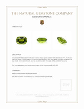 4.08 Ct. Peridot from Tanzania Appraisal