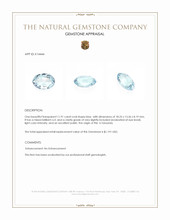 11.91 Ct. Blue Aquamarine from Tanzania Appraisal