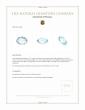 11.91 Ct. Aquamarine from Tanzania Appraisal