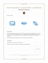 3.88 Ct. Aquamarine from Tanzania Appraisal