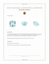 7.22 Ct. Greenish Blue Aquamarine from Tanzania Appraisal