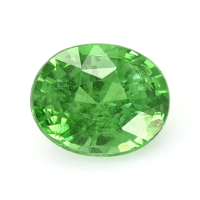 1.21 Ct. Tsavorite Garnet from Tanzania Video