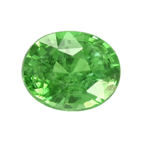 1.21 Ct. Tsavorite Garnet from Tanzania Video
