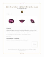 3.66 Ct. Garnet from Madagascar Appraisal