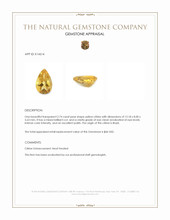 2.74 Ct. Citrine from Brazil Appraisal