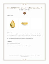 2.85 Ct. Citrine from Brazil Appraisal