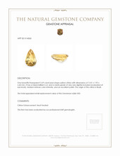 2.69 Ct. Citrine from Brazil Appraisal