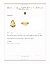 3.04 Ct. Citrine from Brazil Appraisal
