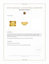 2.93 Ct. Citrine from Ceylon (Sri Lanka) Appraisal