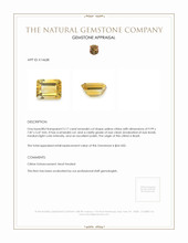 3.17 Ct. Citrine from Brazil Appraisal