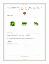 2.88 Ct. Green Tourmaline from Mozambique Appraisal