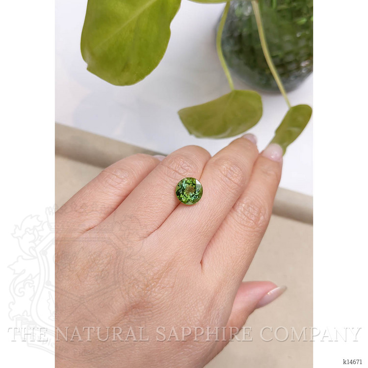 2.88 Ct. Tourmaline from Mozambique