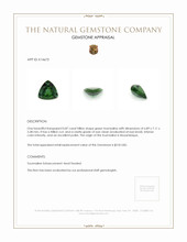0.87 Ct. Tourmaline from Mozambique Appraisal