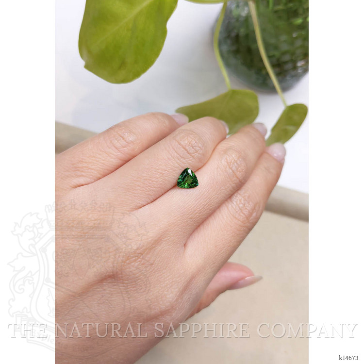 0.87 Ct. Tourmaline from Mozambique