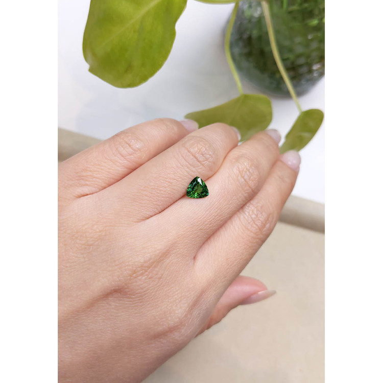 0.87 Ct. Tourmaline from Mozambique