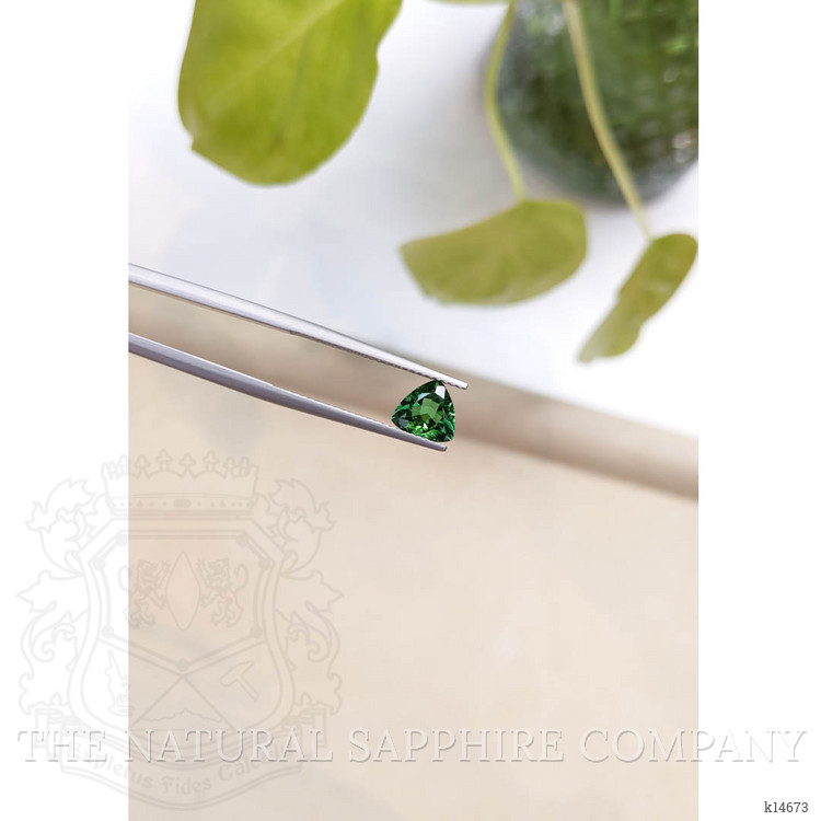 0.87 Ct. Tourmaline from Mozambique