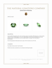 2.59 Ct. Tourmaline from Mozambique Appraisal