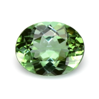 2.59 Ct. Tourmaline from Mozambique Video